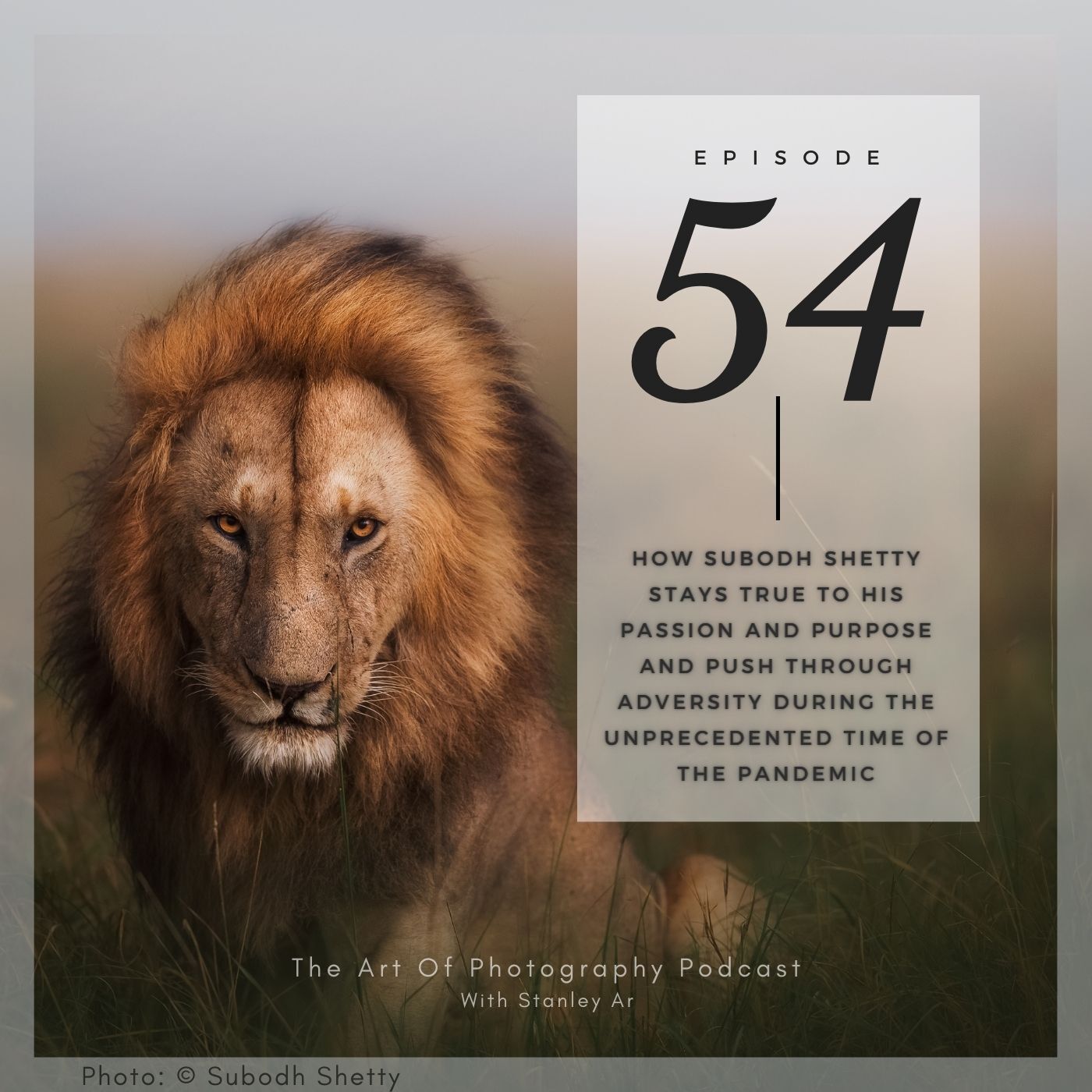 The Art of Photography